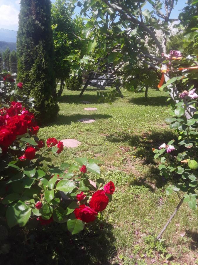 Holiday House White Hill Bihac