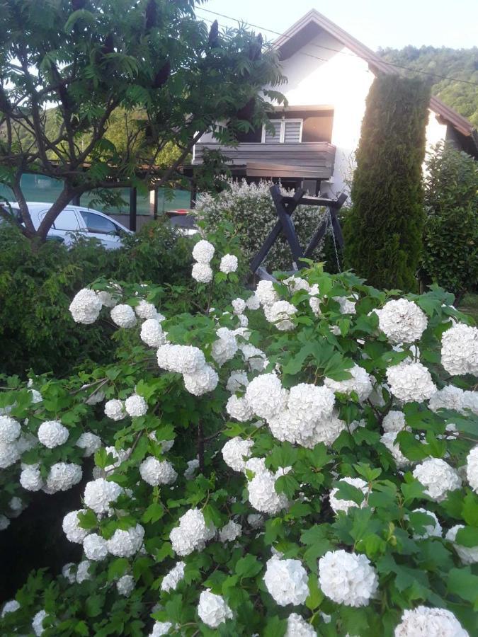 Holiday House White Hill Bihac