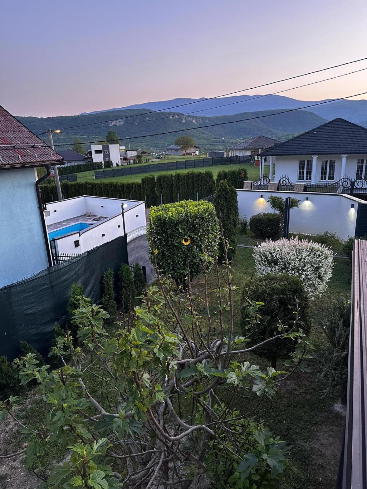 House White Hill